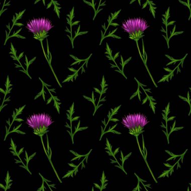 Dikensiz bir suluboya desenli devedikeni çiçekleri ve siyah arka planda yeşil yapraklar..