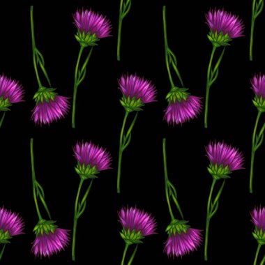 Devedikeni canlı mor çiçeklerden oluşan kusursuz bir desen, yeşil saplı ve siyah arkaplanlı çeşitli çiçek aşamalarında resmedilir..