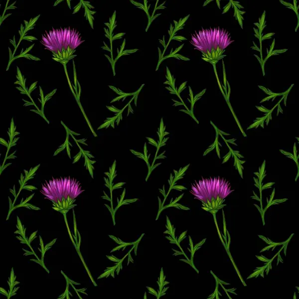 Dikensiz bir suluboya desenli devedikeni çiçekleri ve siyah arka planda yeşil yapraklar..