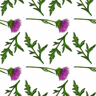 Deve dikeni mor çiçekler ve beyaz arka planda yeşil yapraklar içeren canlı bir suluboya deseni..