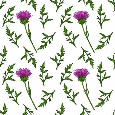 Dikensiz bir suluboya desenli devedikeni çiçekleri ve beyaz arka planda yeşil yapraklar..