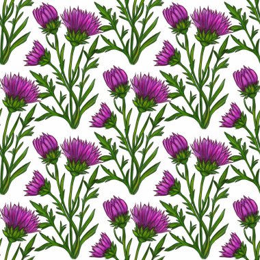 Yeşil saplı ve beyaz arkaplanda yaprakları olan canlı mor çiçekler içeren kusursuz bir dikenli dikenli dikenli çiçek deseni..