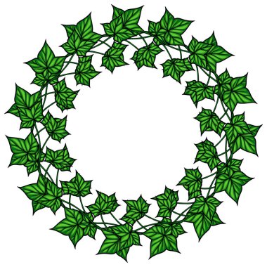 Beyaz arka planda çeşitli yaprak şekilleri ve boyutları olan yeşil sarmaşık yapraklarından yapılmış dairesel bir çelenk..
