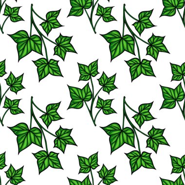 Beyaz arka planda yeşil sarmaşık yaprakları olan kusursuz bir vektör deseni. Yapraklar değişik şekil ve boyutlarda, doğal ve canlı bir tasarım yaratıyor..