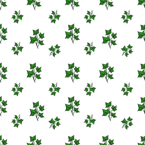 Beyaz arka planda yeşil sarmaşık yaprakları olan kusursuz bir vektör deseni. Yapraklar detaylı ve tekrarlanan bir dizaynla düzenlenmiş, taze ve doğal bir görünüm yaratıyor..