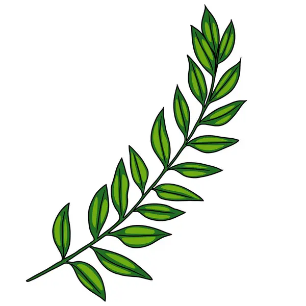 Doğal ve taze bir görünüm sergileyen birden fazla broşürü olan canlı bir vektör yeşil yaprak dalı. Yapraklar parlak ve sapı simetrik olarak sıralanmış yeşil bir renge sahip..