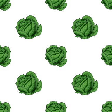 Beyaz arka planda el çizimi yeşil lahanalar içeren kusursuz bir vektör deseni. Lahanalar ayrıntılı yapraklar ve gerçekçi bir dokuya sahipler. Taze ve canlı bir görünüm yaratıyorlar..