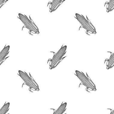 Beyaz arka planda elle çizilmiş mısır koçanları içeren kusursuz bir vektör deseni. Mısır koçanları ayrıntılı, siyah çizgili bir sanat tarzıyla resmedilmiş, klasik bir estetik yaratıyor..