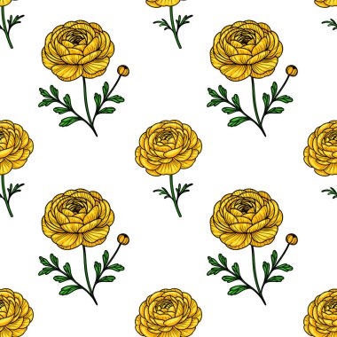 Beyaz arka planda yeşil yapraklı sarı ranunculus çiçekleri içeren kusursuz bir vektör deseni.