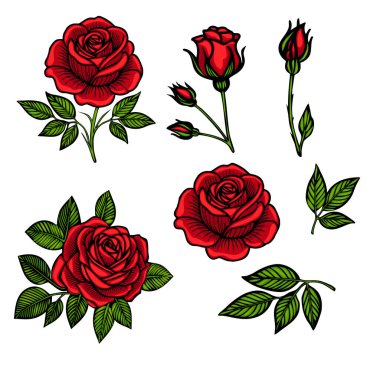 Detaylı yaprakların yer aldığı çeşitli safhalardaki kırmızı güllerin toplanması. Tasarım tamamen çiçek açmış güller, tomurcuklar ve yapraklar içeriyor, canlı renkler ve karmaşık çizgiler içeriyor..
