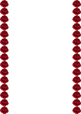 Beyaz zemin üzerinde kırmızı güller olan dekoratif bir sınır, metin veya resimler için romantik ve zarif bir çerçeve oluşturur.
