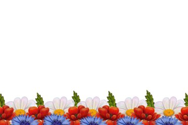 Çiçeklerin, papatyaların, kırmızı gelinciklerin ve mavi çiçeklerin bulunduğu canlı bir çiçek sınırı, temiz beyaz arka planda yer alır..
