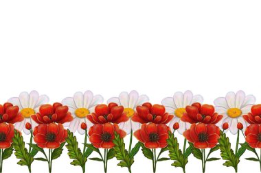 Kırmızı gelincikler ve yeşil yapraklı beyaz papatyalar içeren canlı bir çiçek sınırı, dekoratif amaçlar için idealdir..