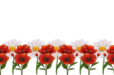 Kırmızı gelinciklerin ve sarı merkezli beyaz papatyaların bulunduğu canlı bir çiçek sınırı beyaz arka plana karşı tekrarlanan bir düzende dizilmiştir..