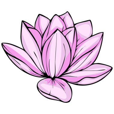 Tek bir pembe nilüfer çiçeğinin hassas vektör çizimi, kalın hatları ve yumuşak renk eğimleriyle karmaşık taç yaprağını sergiliyor, kadınsı tasarımlar için mükemmel..