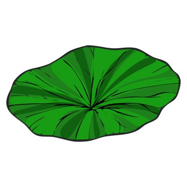 Bu vektör illüstrasyonunda canlı yeşil bir nilüfer yaprağı bulunur, genel bakış açısıyla tasvir edilir, ayrıntılı damarlar ve hafif desenli bir yüzey gösterilir, doğaya dokunmak için idealdir....