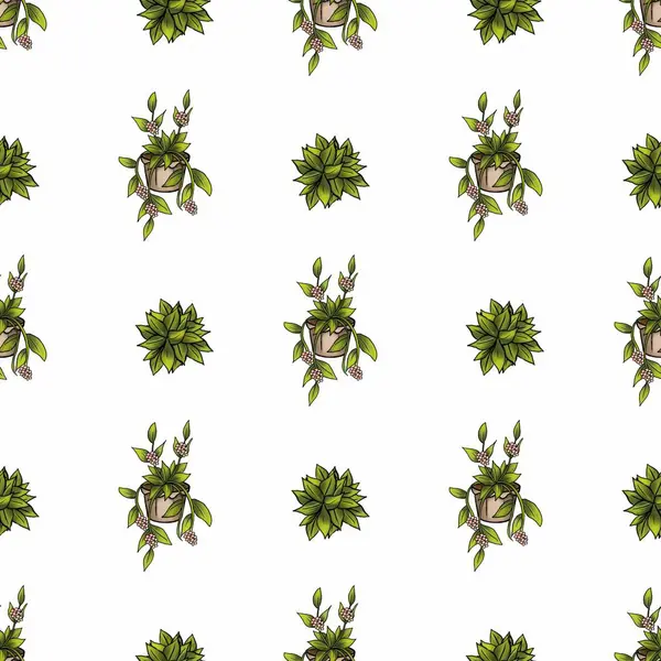 Kusursuz desenli, elle çizilmiş sulu saksıların ve pembe çiçekli bitkilerin bembeyaz arkaplanlarının çizimleri..