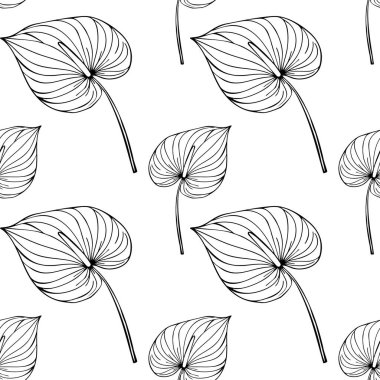 Beyaz zemin üzerinde el çizimi siyah anahatlı kusursuz vektör deseni olan Anthurium çiçekleri, çeşitli uygulamalar için minimalist ve zarif bir tasarım oluşturur..