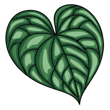 Benzersiz desenli, biçimlendirilmiş kalp şeklindeki bir yaprağın vektör çizimi, zengin yeşil renkler ve cesur taslaklar sergiliyor, doğanın dokunması gereken tasarım projeleri için ideal..