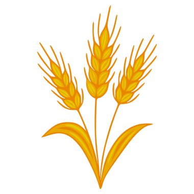Üç stilize buğday sapının vektör çizimi, detaylı tanecikleri ve akan yapraklarla sıcak altın renkte yapılmış, hasat temaları veya tarımsal tasarımlar için mükemmel.