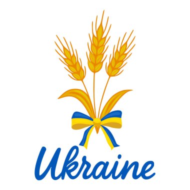 Ukrayna 'yı sembolize eden mavi ve sarı kurdeleli üç altın buğday sapından oluşan büyüleyici bir vektör çizimi, temiz beyaz bir arkaplan üzerine kurulmuş..