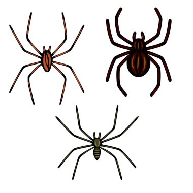 Değişen renk ve bacak uzunluklarına sahip üç örümceğin vektör çizimi, Cadılar Bayramı tasarımları veya örümceksi temalı projeler için mükemmel.