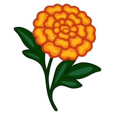 Zengin turuncu yaprakları ve koyu yeşil yaprakları olan stilize edilmiş bir çiçeğin canlı vektör çizimi Ölüler Günü veya Meksika 'dan esinlenilmiş projeler için mükemmel..