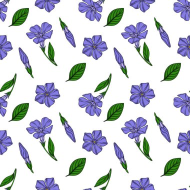 Narin menekşe çiçekleri ve yapraklardan oluşan kusursuz vektör deseni, canlı mor çiçekleri ve yemyeşil yaprakları olan büyüleyici botanik bir illüstrasyon sergiliyor....