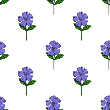 Beyaz arka planda canlı mor yapraklı, pürüzsüz menekşe çiçekleri ve koyu yeşil yapraklar, tekstil baskıları veya dijital tasarımlar için mükemmel..