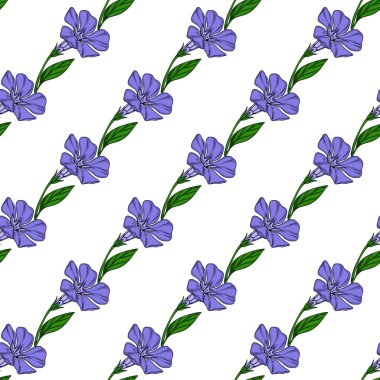 Sivri mor yapraklı, pürüzsüz menekşe çiçekleri ve gür yeşil yapraklı, beyaz arka planda tekrar eden bir dizayn şeklinde düzenlenmiş, kusursuz vektör deseni..