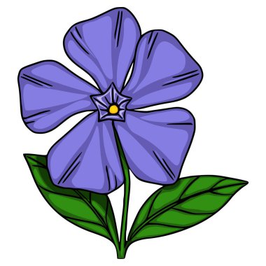 Canlı mor yaprakları ve koyu yeşil yaprakları olan, el yapımı eşsiz bir estetik sergileyen, stilize edilmiş bir menekşe çiçeğinin vektör çizimi.