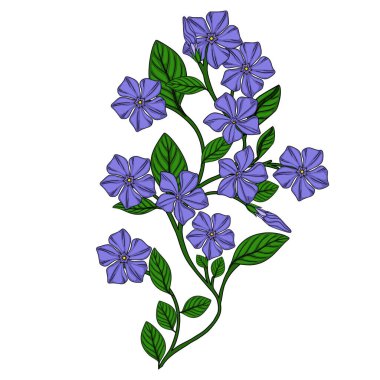 Canlı mor çiçekleri ve gür yeşil yaprakları olan zarif bir menekşe dalının vektör çizimi, karmaşık detaylar ve zarif, doğal estetik.