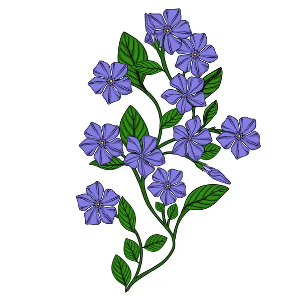 Canlı mor çiçekleri ve gür yeşil yaprakları olan zarif bir menekşe dalının vektör çizimi, karmaşık detaylar ve zarif, doğal estetik.