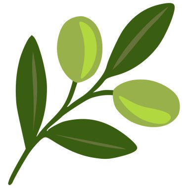 İki zeytin dalı ve birkaç yapraklı bir zeytin dalının stilize edilmiş vektör çizimi, yeşilin değişik tonlarında minimalist bir tasarım sergiliyor..