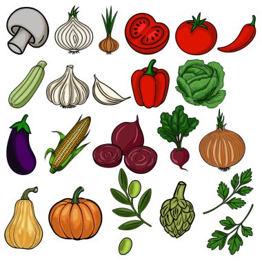 Mantar, sarımsak, soğan, domates, biber, lahana, patlıcan, mısır, pancar ve balkabağı gibi çeşitli el yapımı sebze koleksiyonunu içeren canlı bir vektör çizimi,...