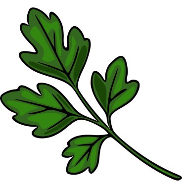 Tek bir maydanozun canlı bir temsili. Detaylı yapraklarını sergiliyor ve zengin yeşil tonlarda kök oluşturuyor. Mutfak ya da botanik tasarımlar için mükemmel..