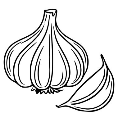 Sarımsak ampulü ve karanfilin vektör çizimi, kalın siyah bir taslak şeklinde çizilmiş, ayrıntılı dokular sergileniyor ve aşçılık veya sağlıkla ilgili projeler için basit bir tasarım ideal..