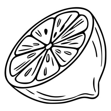 Yarım limonun vektör çizimi, kalın, elle çizilmiş, detaylı bölümler ve dokulu kabuk ile tasvir edilmiş, minimalist siyah ve beyaz estetik.