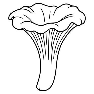 Bir chanterelle mantarının detaylı bir temsili, özgün, elle çizilmiş, kalın hatları olan ve başlık ve gövdesinde karmaşık detaylar bulunan, mutfak ya da doğa temalı de...