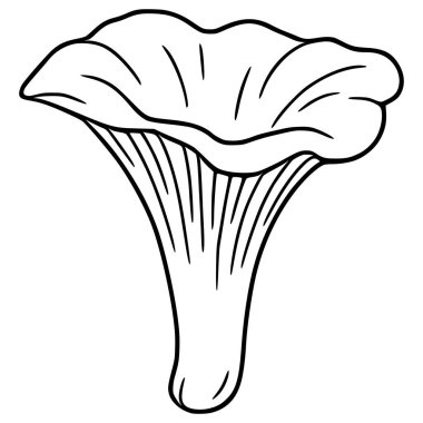 Bir Chanterelle mantarının, basit, elle çizilmiş, koyu siyah çizgili bir tasviri ve mantar kapağının eşsiz şekli ve dokusuna odaklanmış bir tasviri..