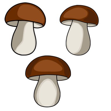 Üç kahverengi ve bej mantarlı büyüleyici bir vektör çizimi, her biri titizlikle detaylandırılmış, pürüzsüz gradyan ve ince gölgeleme, enfes ve kaprisli bir tasarım yaratıyor..