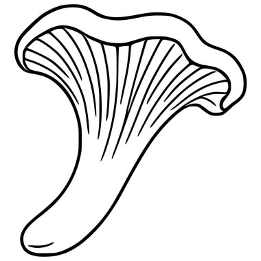 Chanterelle mantarının bir vektör çizimi, minimalist siyah-beyaz çizgili sanat tarzıyla tasvir edilmiş, eşsiz huni şeklini ve tırtıklı başlığını sergiliyor..