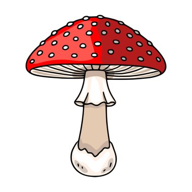 Beyaz lekeli kırmızı mantar mantarının garip bir vektör çizimi. Detaylı bir kapak, dokulu solungaçlar ve sonbahar tasarımları için mükemmel bir taban..