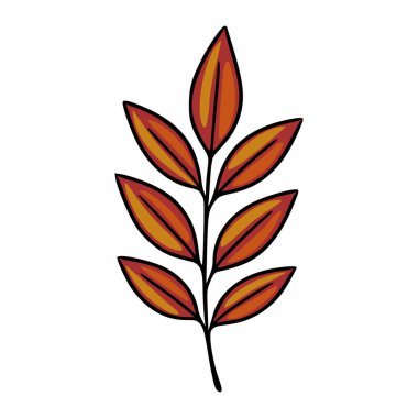 Yedi turuncu ve kırmızı yapraklı, sonbahar temalı tasarımlar için mükemmel bir stilize dalın sonbahar vektör çizimi.