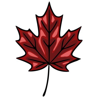 Tek bir stilize akçaağaç yaprağının canlı bir vektör çizimi, koyu siyah çizgilerle zengin kırmızı ve kestane rengi sergiliyor, sonbahar temalı tasarımlar için mükemmel..