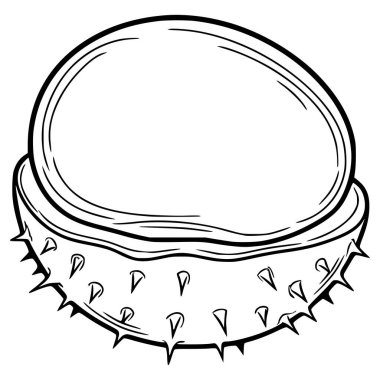 Dikenli dış ve pürüzsüz iç kabuğunu gösteren, sonbahar tasarımları veya doğa temalı projeler için mükemmel bir kestane kabuğunun ayrıntılı bir vektör çizimi..