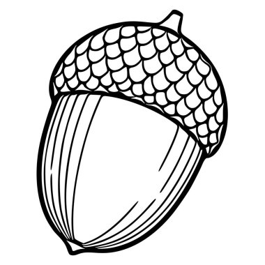 Sonbahar temalı projeler için eşsiz, stilize bir tasarım ideali olan desenli başlıklı, karmaşık bir çizgi sanatı sergileyen bir palamutun ayrıntılı vektör çizimi.