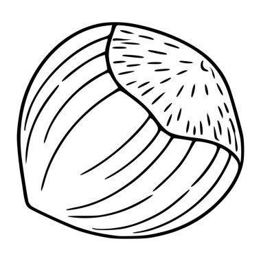 Beyaz zemin üzerinde koyu siyah çizgiler bulunan, desenli kabuğunu ve eşsiz segmentli yapısını gösteren, elle çizilmiş tek bir fındık resminin vektör çizimi..