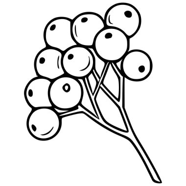 Yuvarlak böğürtlenli bir filizin zarif vektör çizimi, minimalist bir dokunuş gerektiren tasarım projeleri için mükemmel..