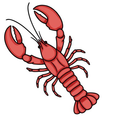 Canlı kırmızı bir kerevitin detaylı vektör çizimi, segmentli gövdesini, güçlü pençelerini ve karmaşık detaylarını gösteriyor, deniz ürünleri temalı tasarımlar için mükemmel..